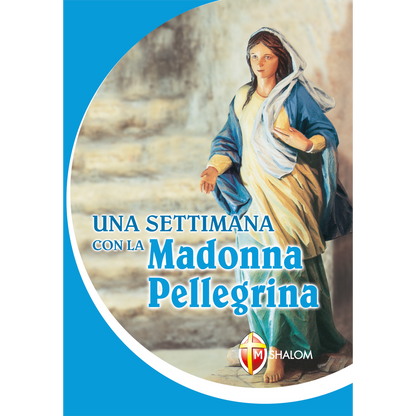 Una settimana con la Madonna Pellegrina