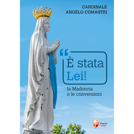 È stata Lei! La Madonna e le conversioni