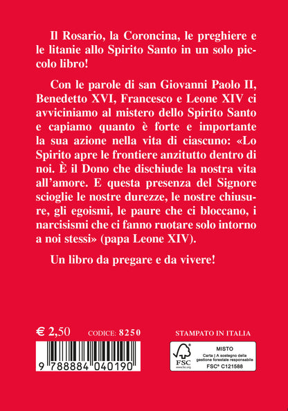 Rosario e Coroncina allo Spirito Santo