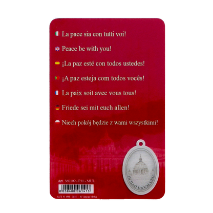 Card plastifcata Papa Leone XIV con immagine smaltata. Dimensioni 8x5 cm
