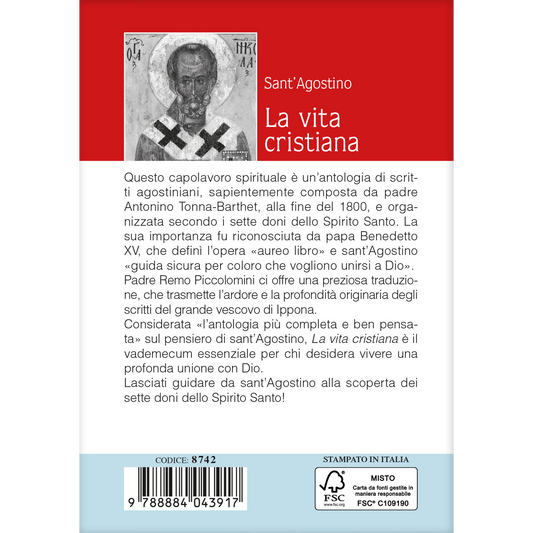 La vita cristiana. Sant'Agostino