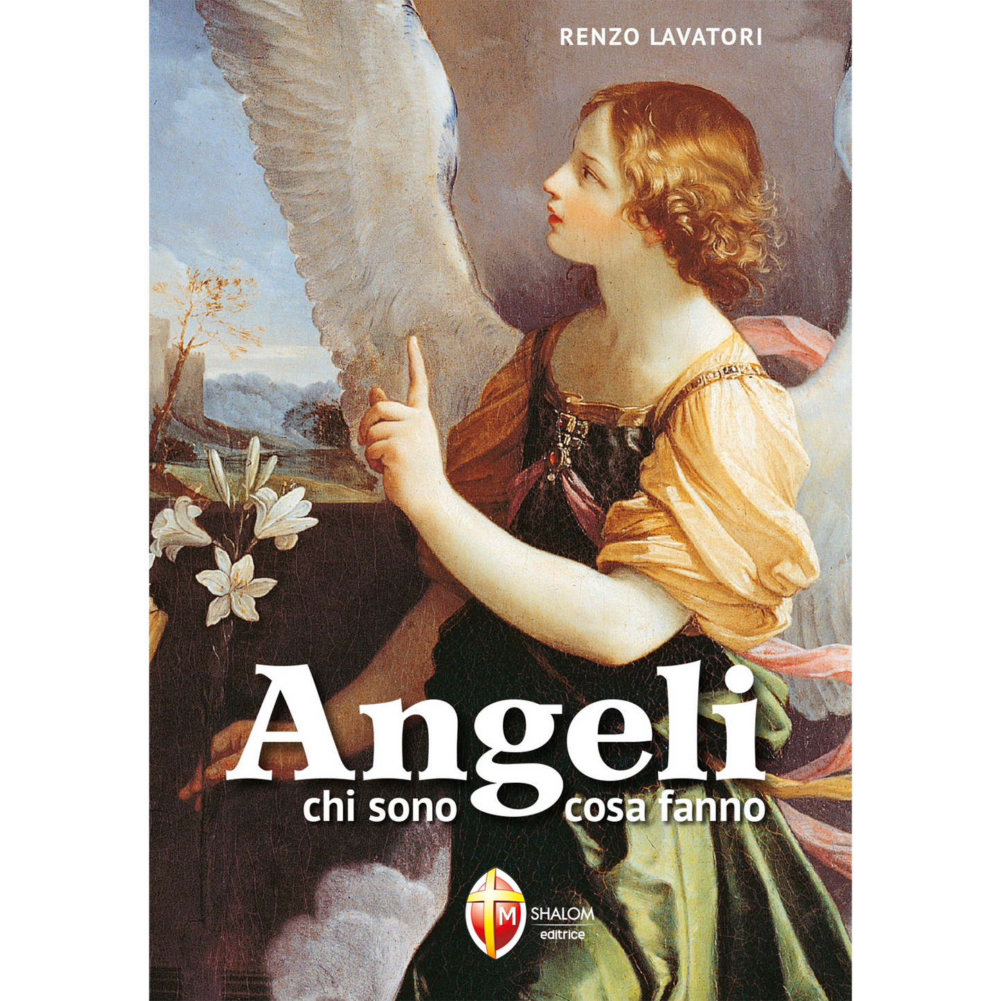 Angeli. Chi sono, cosa fanno