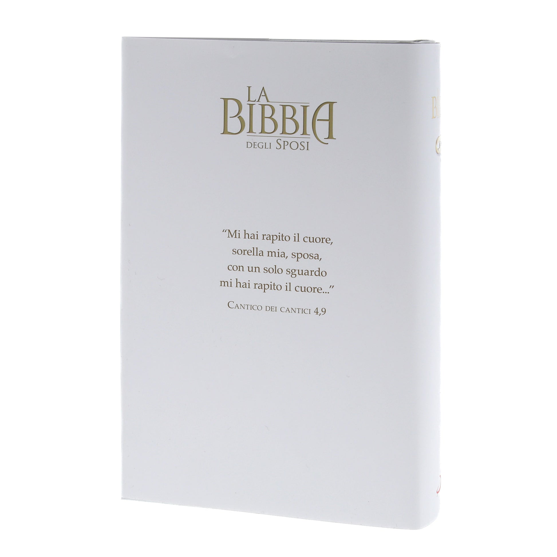 La Bibbia degli sposi. Cofanetto con pergamena
