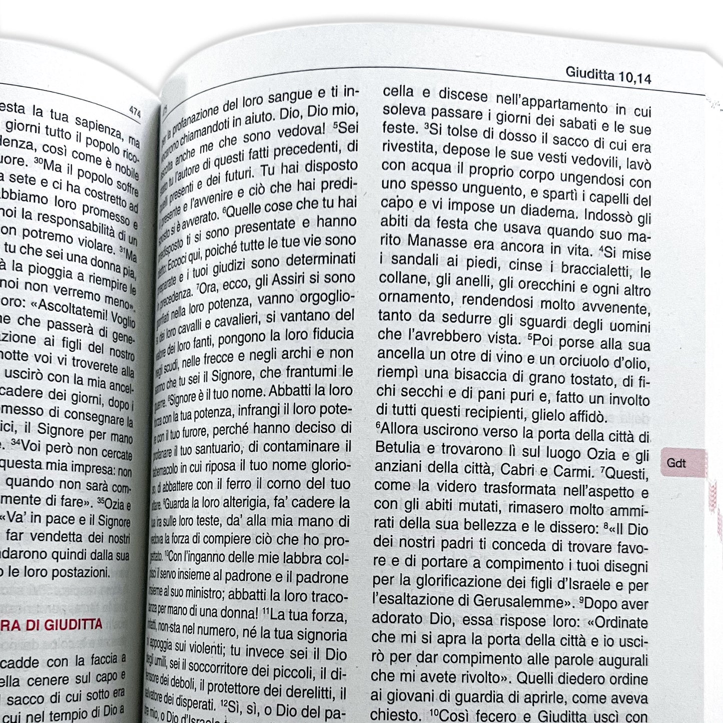 La Bibbia degli sposi. Cofanetto con pergamena