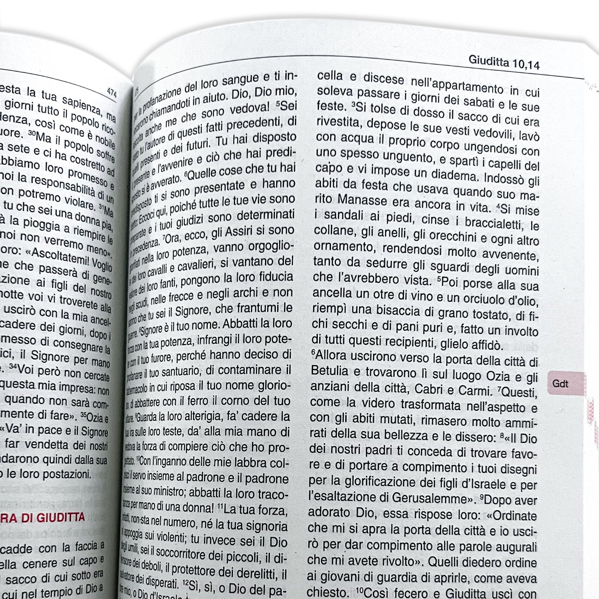 La Bibbia degli sposi. Cofanetto con pergamena