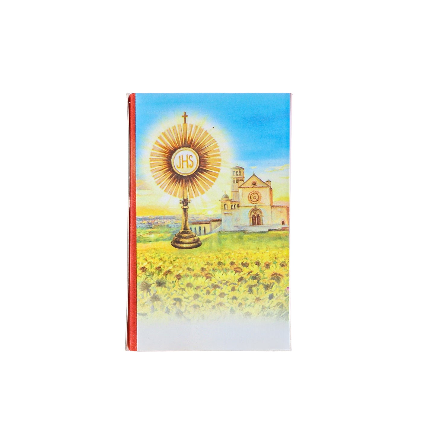 Collana in acciaio con ciondolo San Carlo Acutis. Lunghezza 24,5 cm