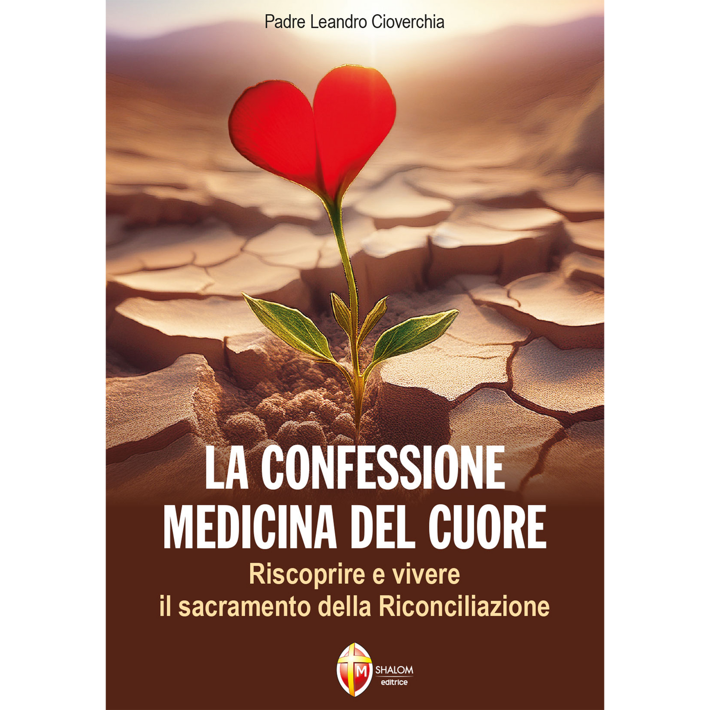 La confessione, medicina del cuore. Riscoprire e vivere il sacramento della Riconciliazione