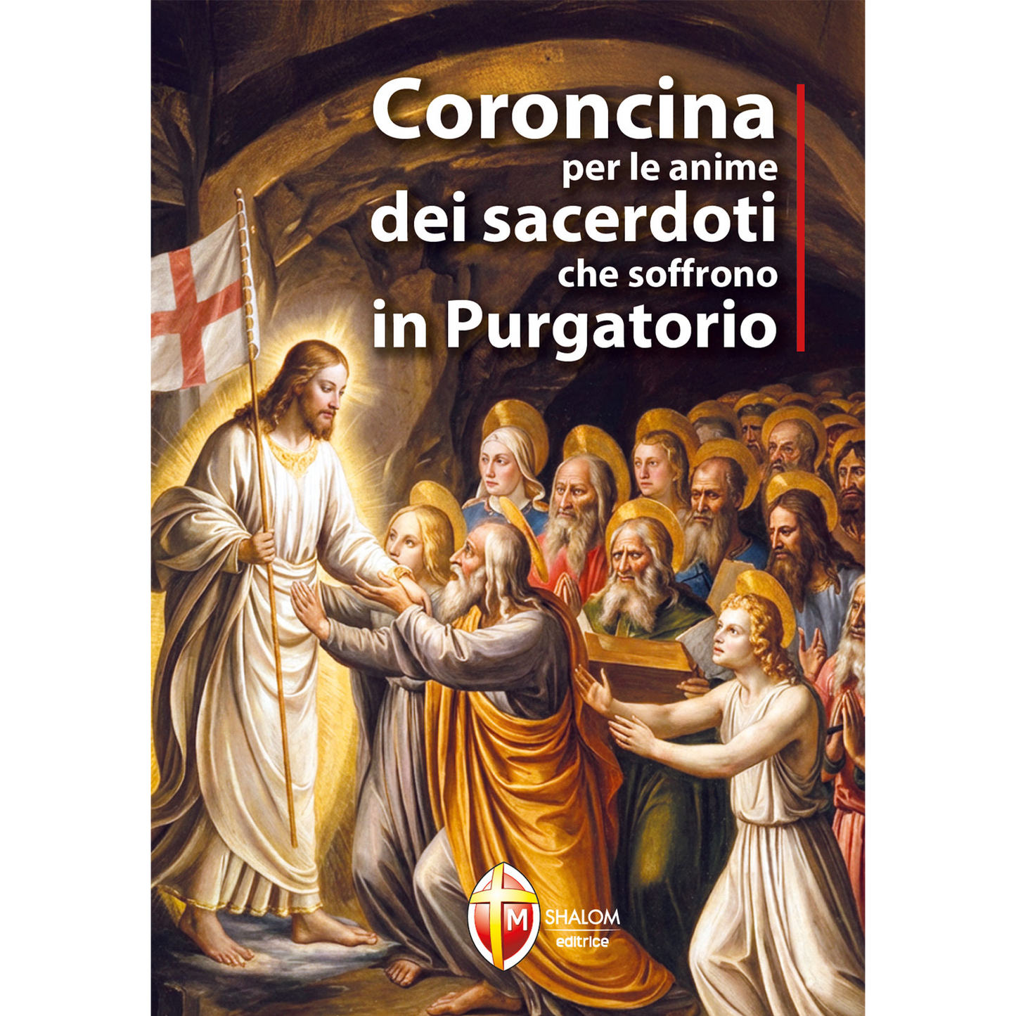 Confezione libro "Coroncina per le anime dei sacerdoti che soffrono in Purgatorio" e Corona Anime dei sacerdoti defunti