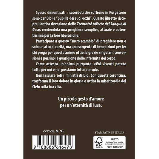 Coroncina per le anime dei sacerdoti che soffrono in Purgatorio
