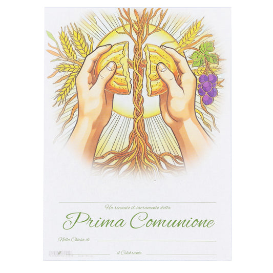 Diploma in carta pergamena per Prima Comunione. Dimensioni 18x24 cm