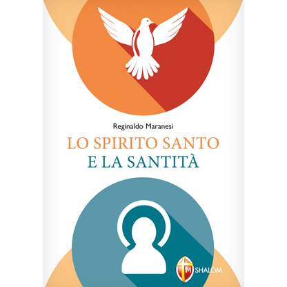 Lo Spirito Santo e la santità