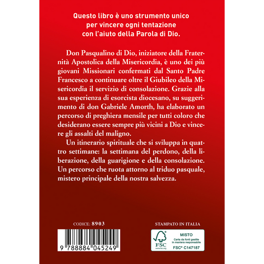 Nella mia lotta, Signore, sii Tu a lottare. Itinerario biblico per la liberazione