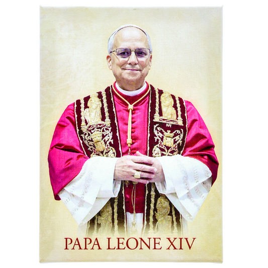 Quadro Tela Papa Leone XIV. Dimensioni 13x18 cm