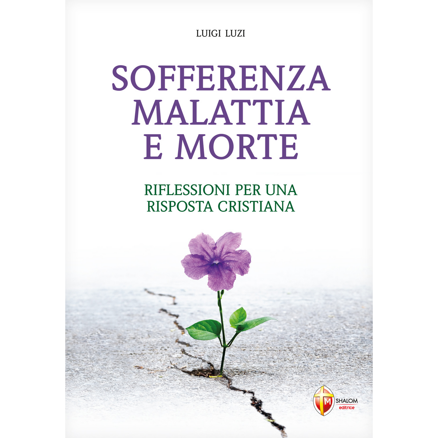 Sofferenza, malattia e morte.
Riflessioni per una risposta cristiana