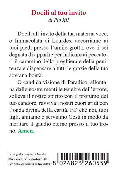 Santino Madonna di Lourdes. Sul retro preghiera